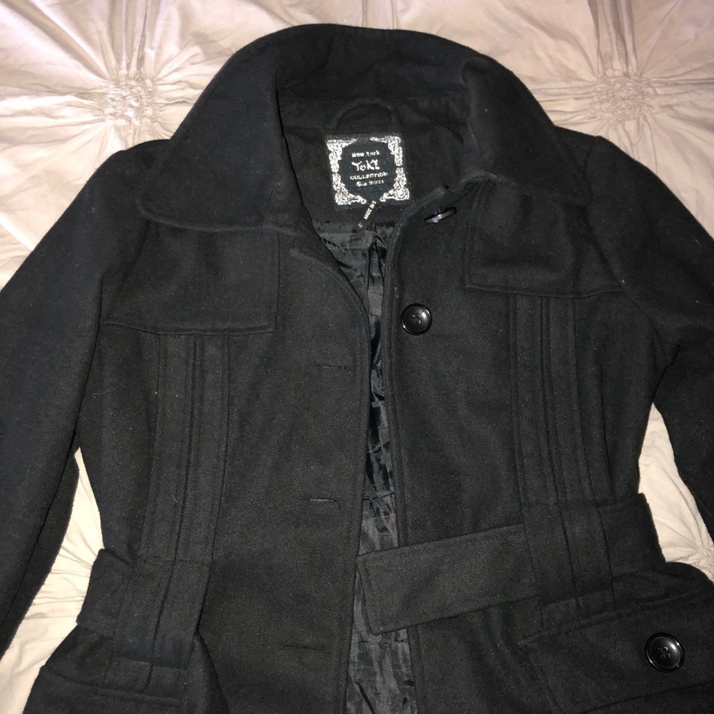 Black fancy, soft coat.